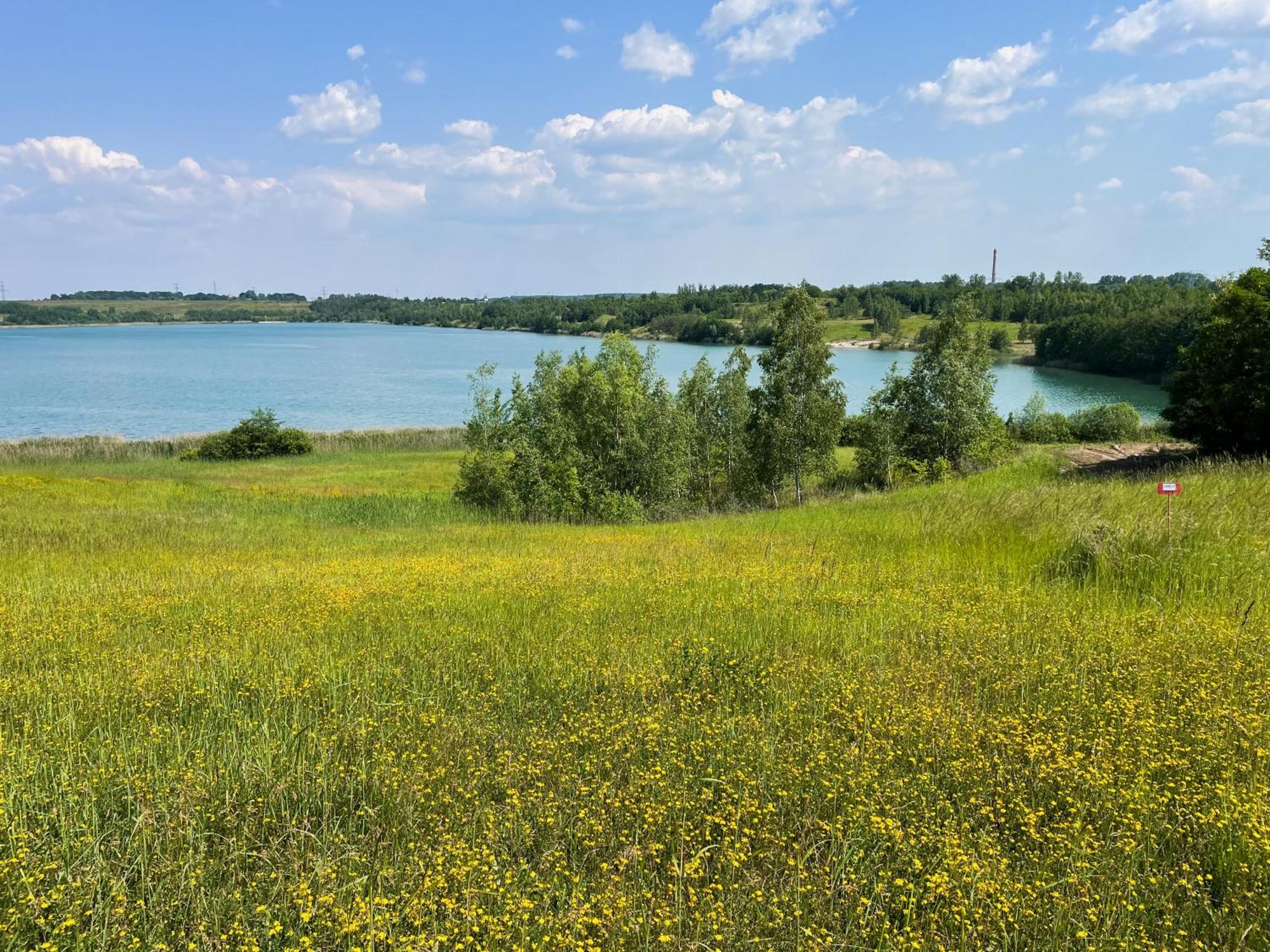 Haus Im Schilf 2 - Ferienwohnungen Am Hainer See Bei Leipzig Neukieritzsch Exterior photo